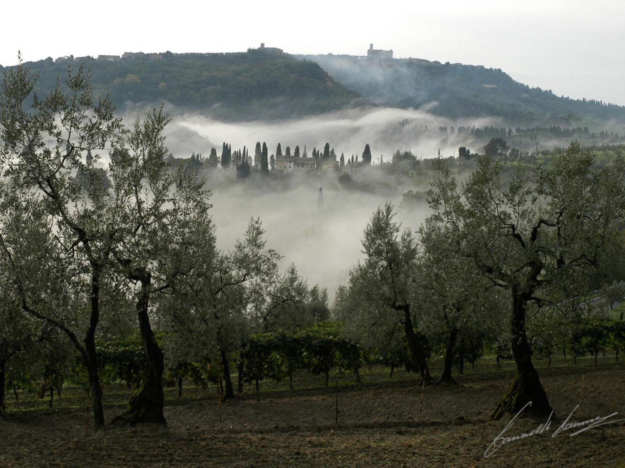 Holiday Home Le Pergole By Interhome Volterra Extérieur photo
